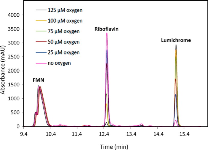 FIGURE 9.