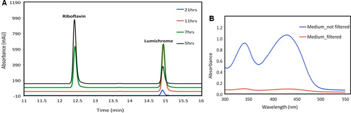 FIGURE 1.