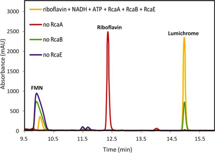 FIGURE 7.