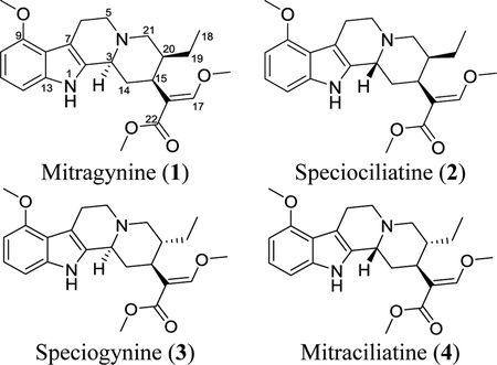 graphic file with name nihms-1647844-f0002.jpg