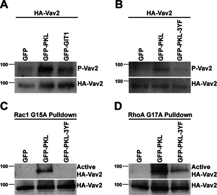 FIGURE 2: