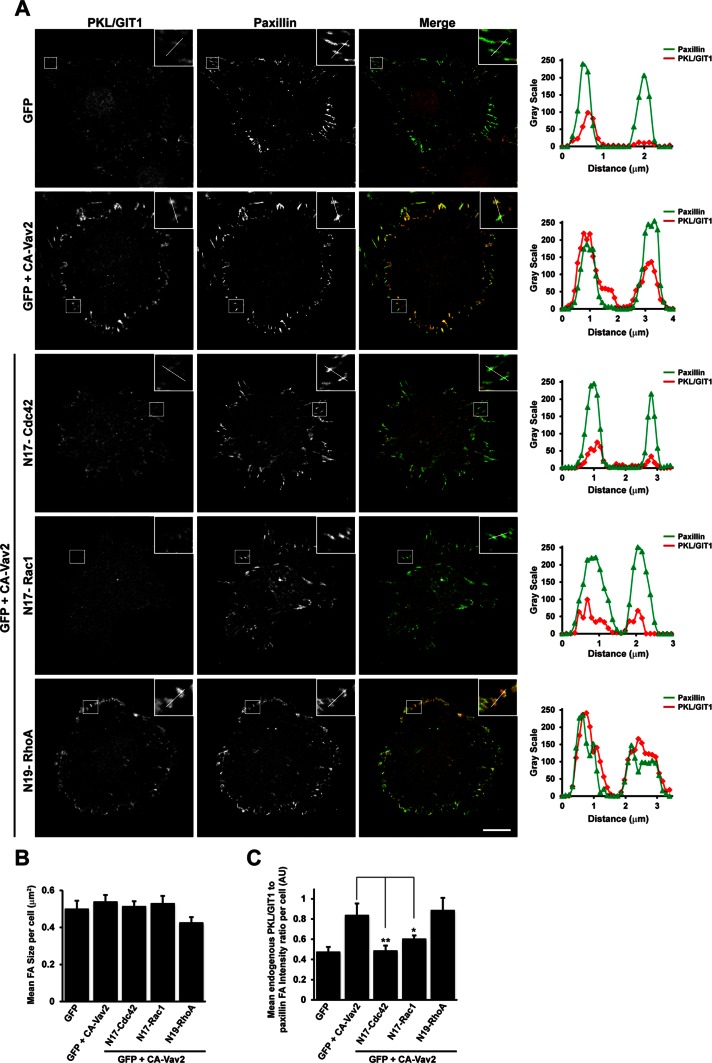 FIGURE 7: