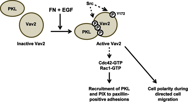 FIGURE 10: