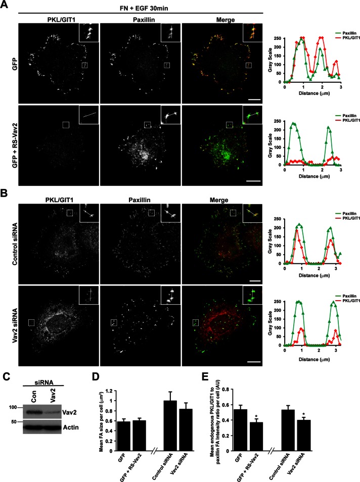 FIGURE 6: