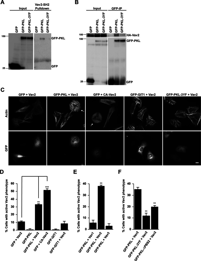 FIGURE 1: