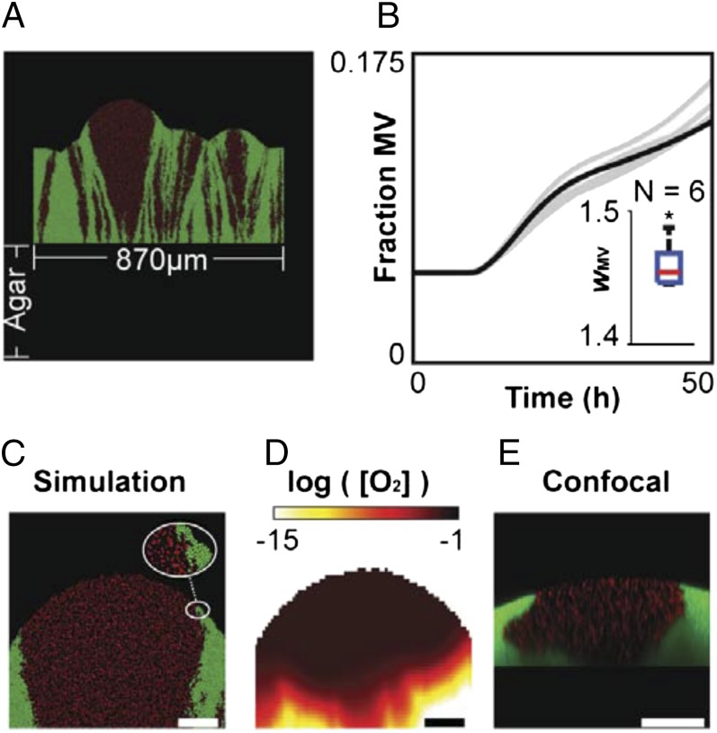 Fig. 3.