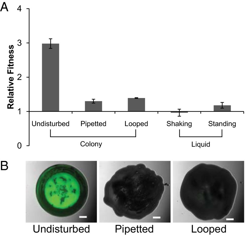 Fig. 4.