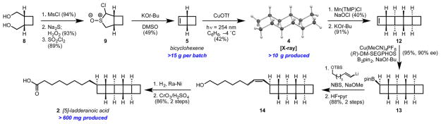 Scheme 2