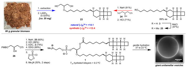 Scheme 4