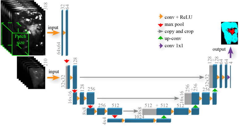 Fig. 4.