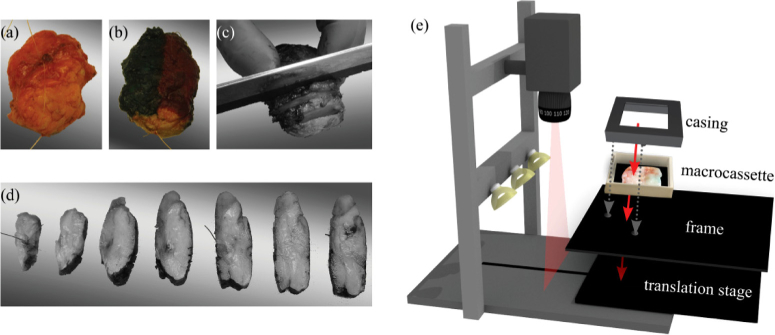 Fig. 2.