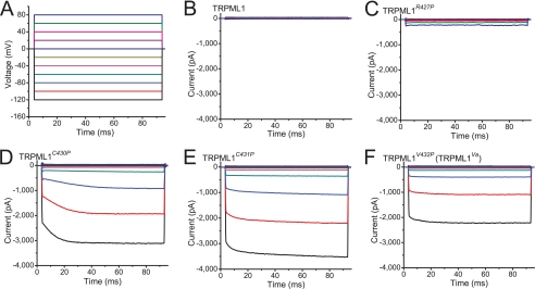 FIGURE 4.