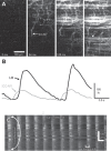 FIGURE 9.