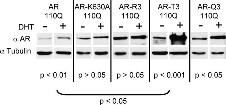 Figure 11.