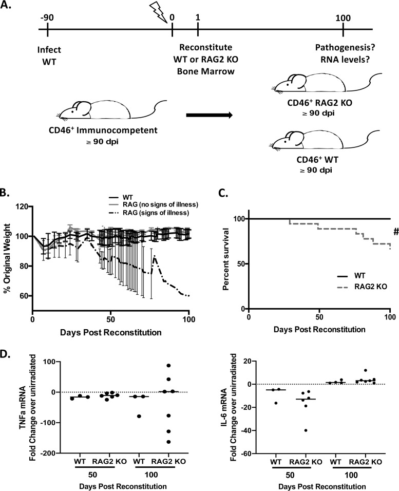 FIG 6