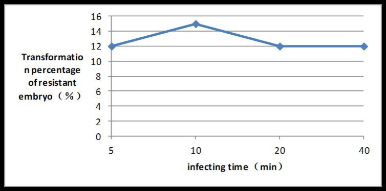 Fig 9