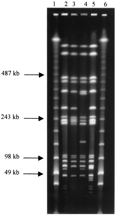 FIG. 1