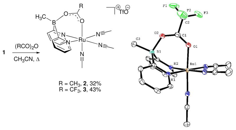 Scheme 2