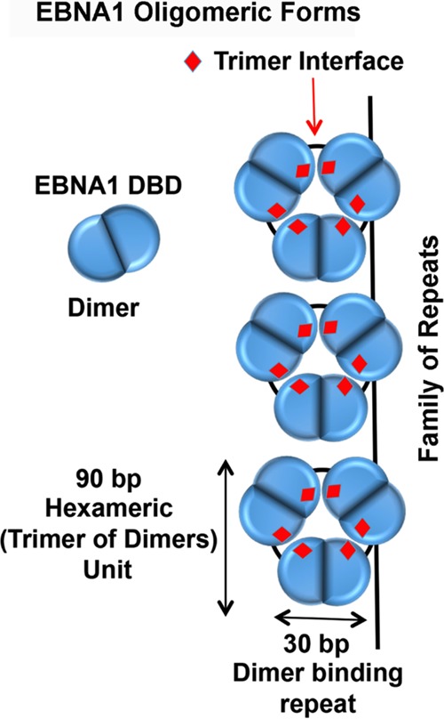 FIG 10