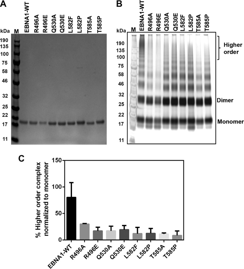 FIG 3