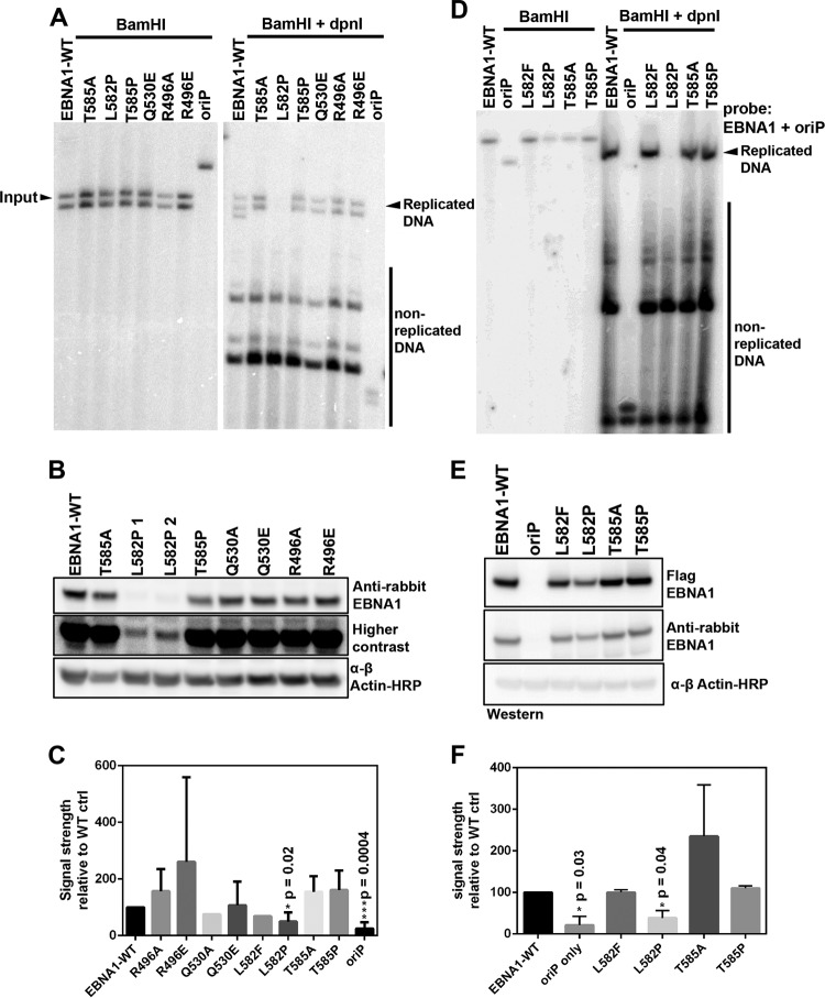 FIG 6