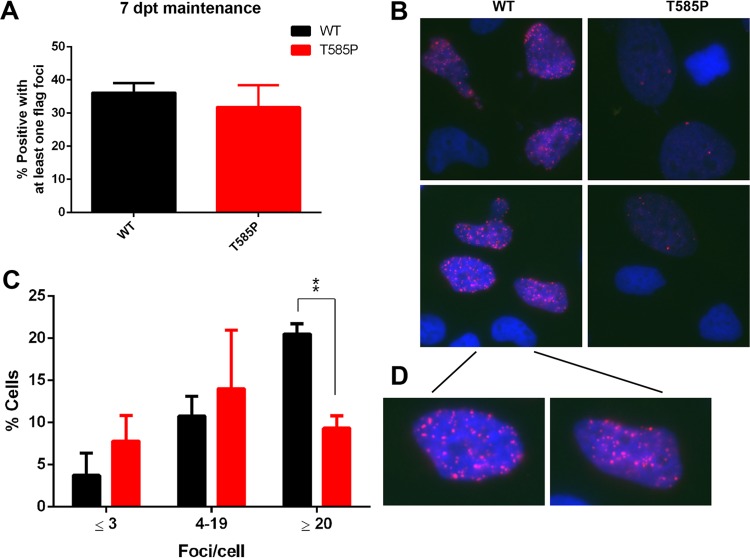 FIG 9