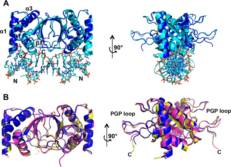 FIG 2