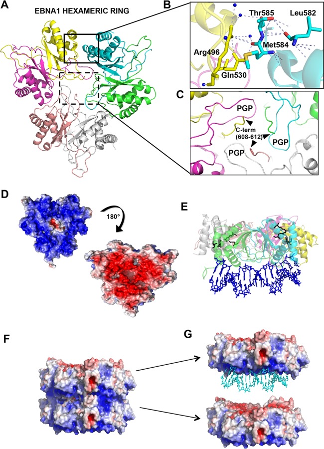 FIG 1