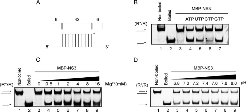 FIG 4