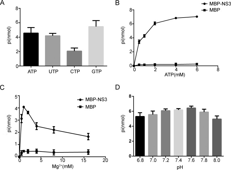 FIG 2