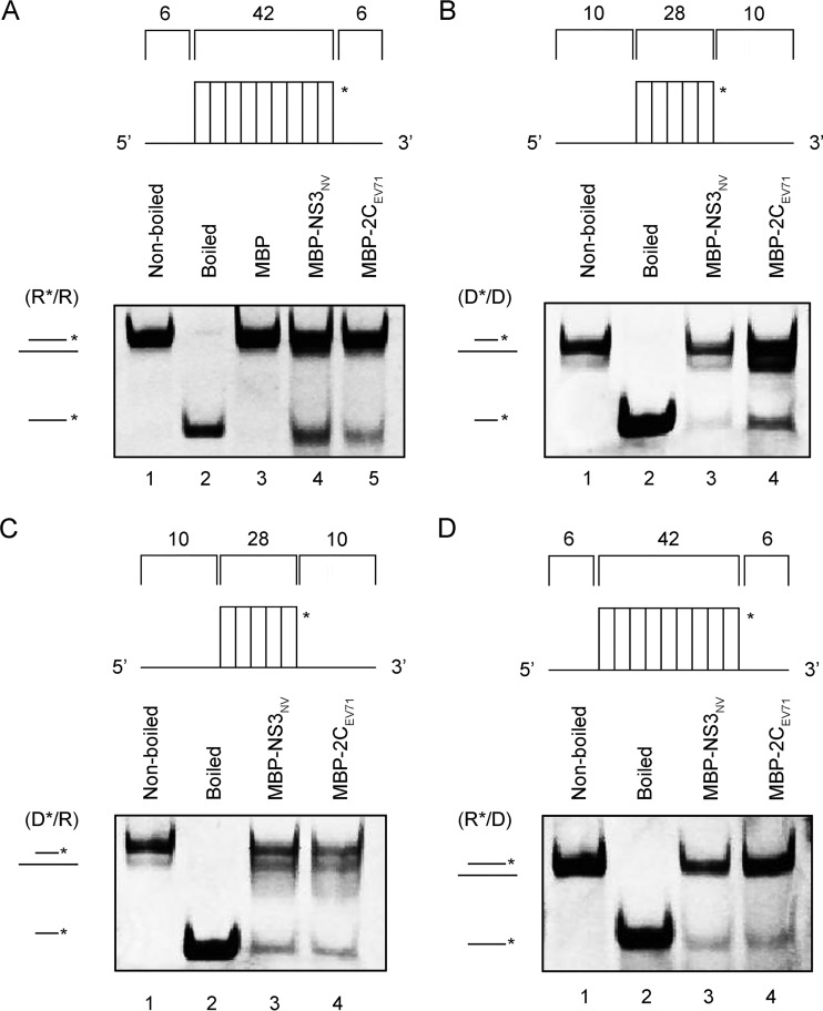 FIG 3