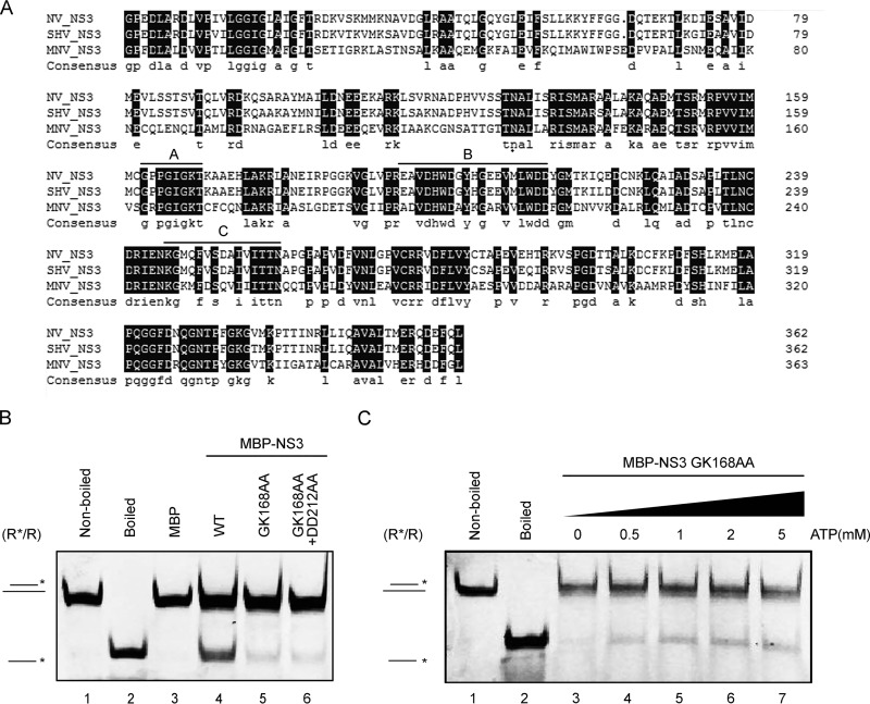 FIG 6