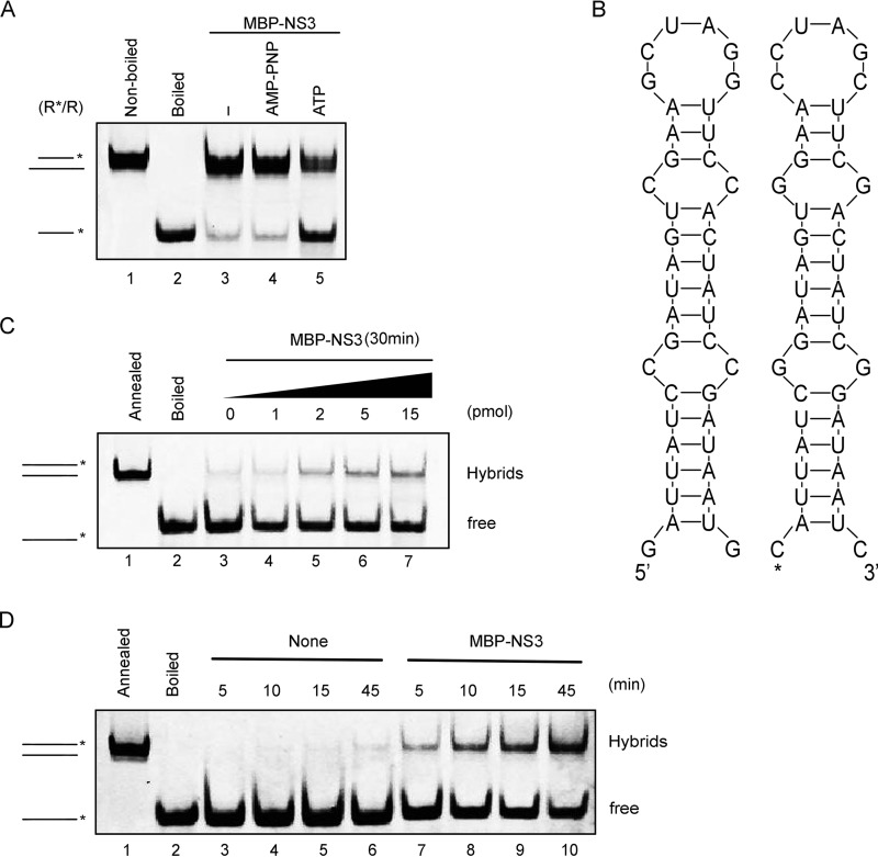 FIG 7