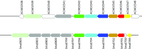 Fig. 2.