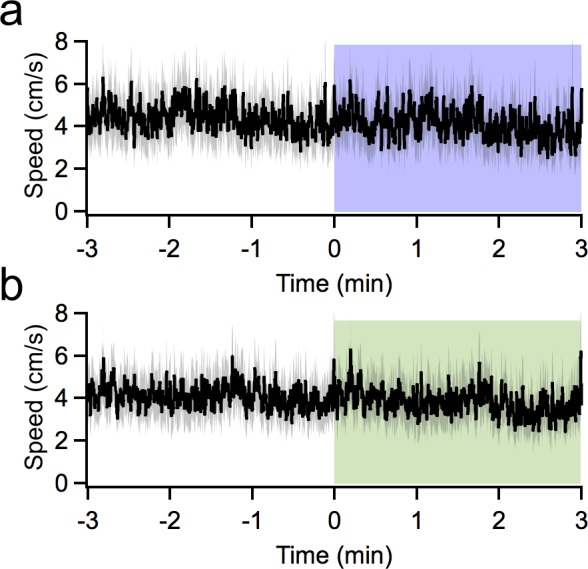 Figure 2—figure supplement 1.