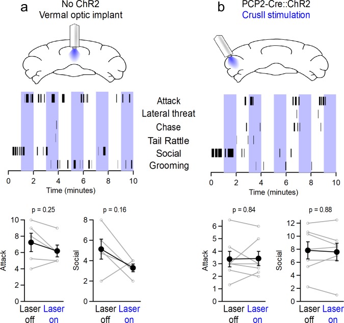 Figure 3—figure supplement 3.