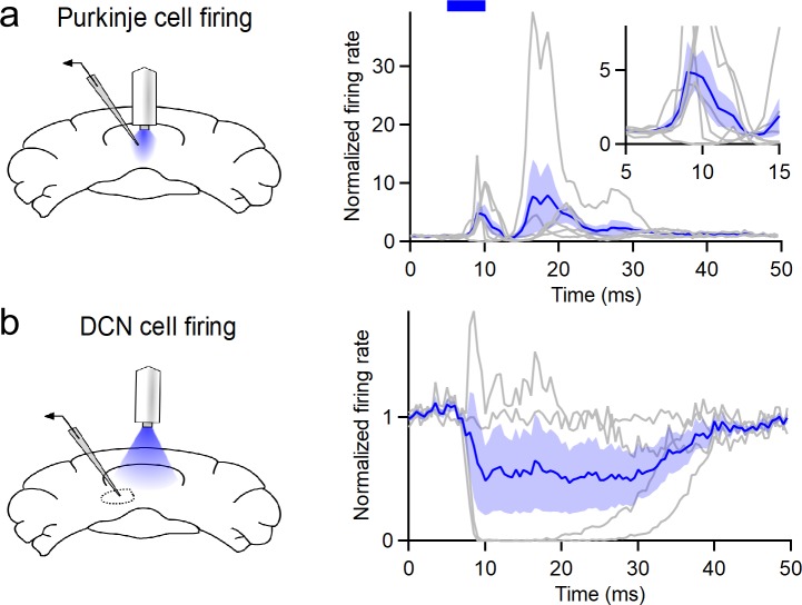 Figure 1—figure supplement 2.