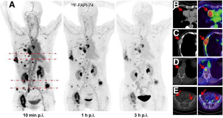 FIGURE 2.