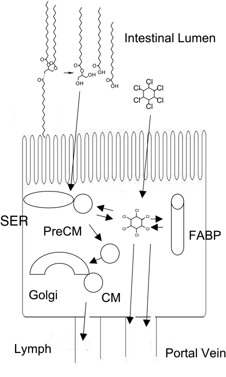 Fig. 10.