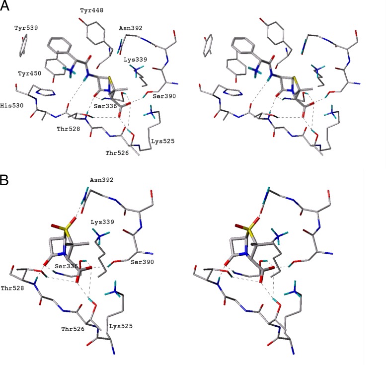 Fig 4