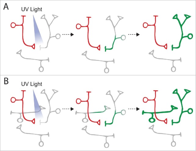 Figure 3.