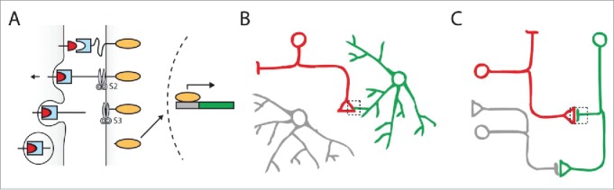 Figure 5.