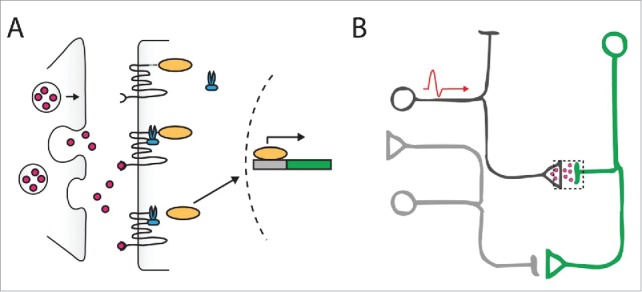 Figure 4.