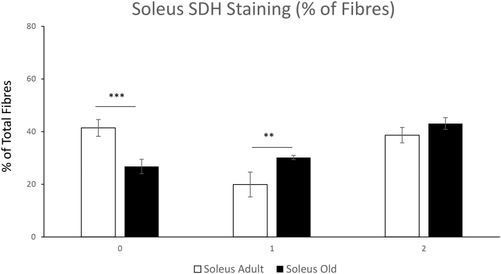 Supplementary Fig. 2