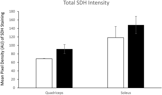 Supplementary Fig. 3