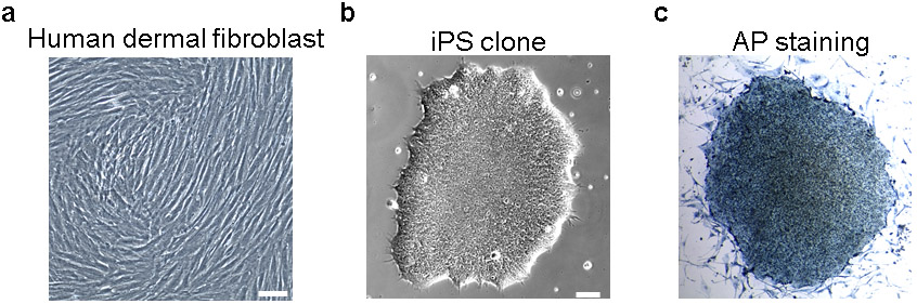 Figure 2.