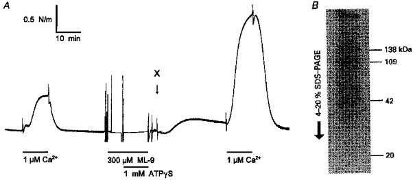 Figure 8