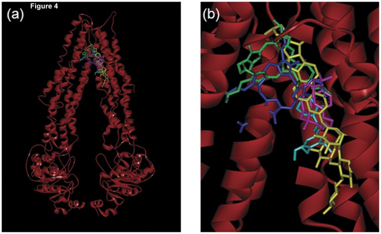 Figure 4