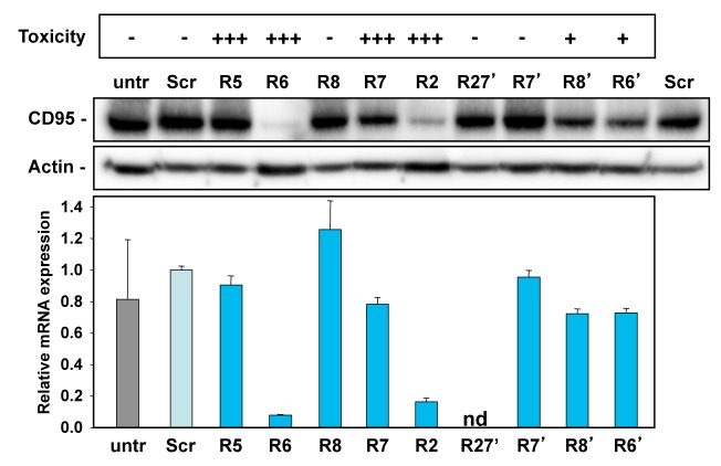 Figure 5—figure supplement 3.