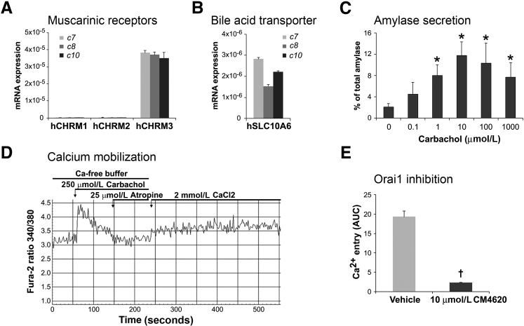 Figure 6